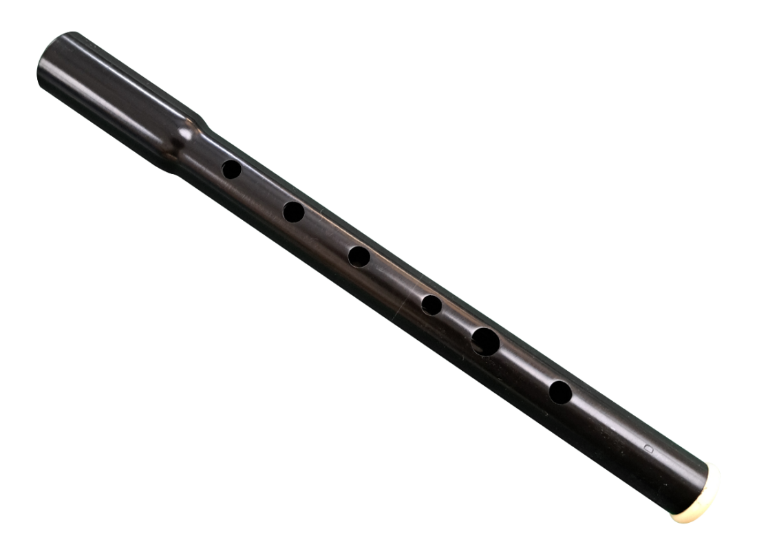 DX029D SOPRANO D BODY